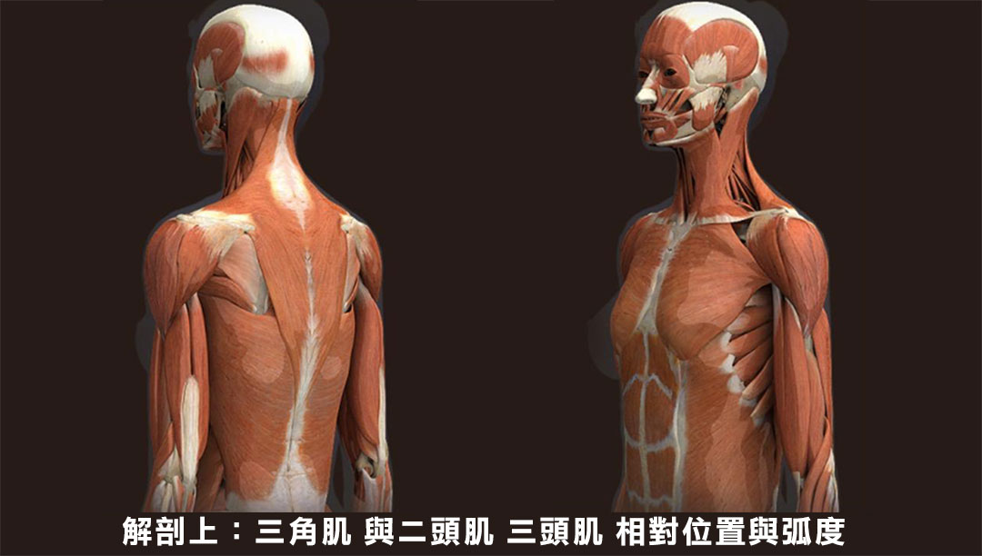 周爾康整形外科診所威塑手臂抽脂案例分享-03 周爾康整形外科診所威塑手臂抽脂案例分享-03